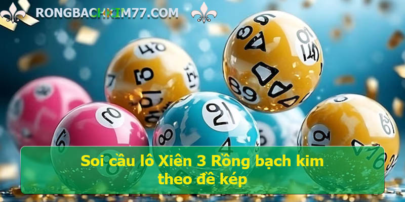 Soi-cau-lo-Xien-3-Rong-bach-kim-2