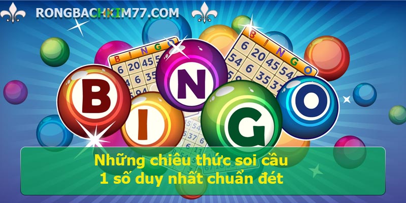 soi-cau-1-so-duy-nhat-2